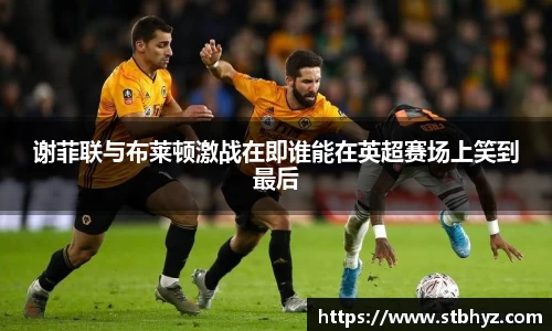 NG娱乐