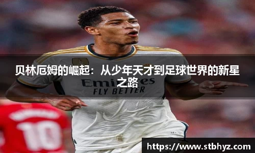 NG娱乐